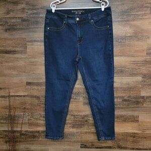 Melissa McCarthy Seven7 Jeans Size 16 W High Rise Pencil Skinny Tummy Control